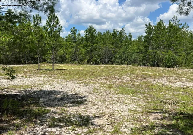 1st image of 179th Pl, Archer, FL 32618 | MLS# GC542196