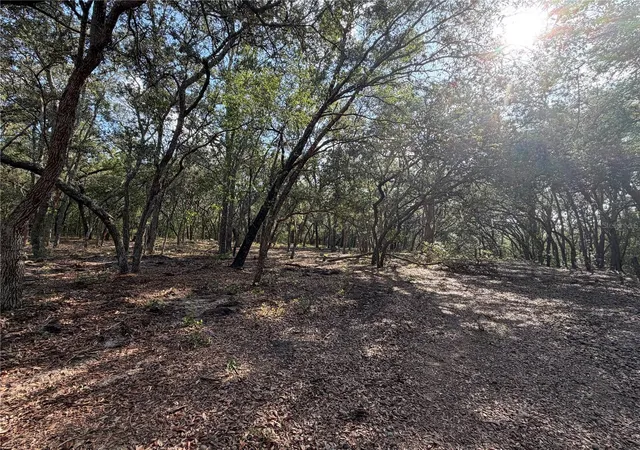 Photo 1 of Land for sale at 103 Sw 53rd Avenue, Interlachen, FL 32148 | MLS# OM729095 | Listing updated on 2026-07-24