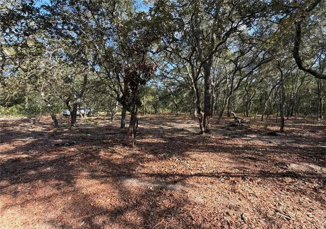 Photo 3 of Land for sale at 103 Sw 53rd Avenue, Interlachen, FL 32148 | MLS# OM729095 | Listing updated on 2026-07-24