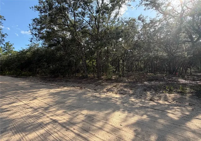 Photo 3 of Land for sale at 103 SW 53rd Avenue, Interlachen, FL 32148 | MLS# OM729095 | Listing updated on 2026-07-24