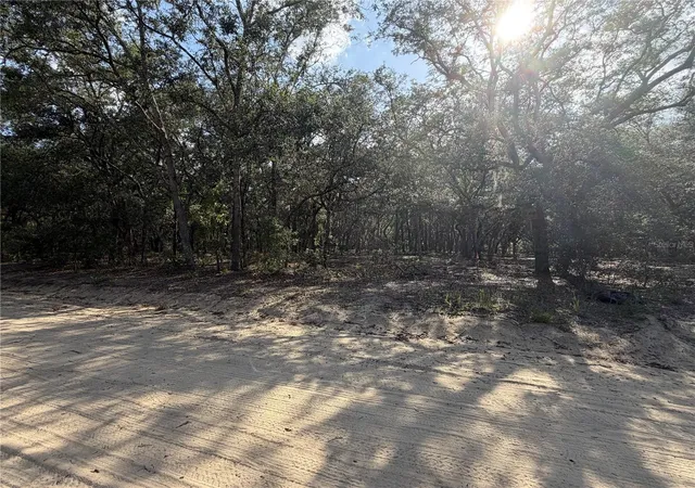 Photo 4 of Land for sale at 103 SW 53rd Avenue, Interlachen, FL 32148 | MLS# OM729095 | Listing updated on 2026-07-24