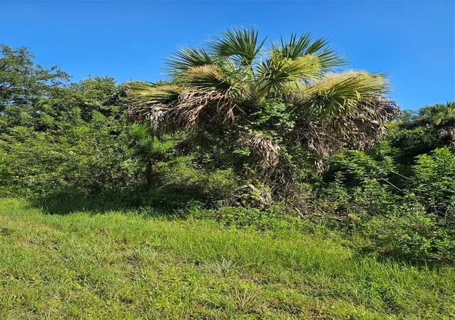 Photo 2 of Land for sale at 18137 Sinatra Ave, Port Charlotte, FL 33954 | MLS# N6145143 | Listing updated on 2026-07-24