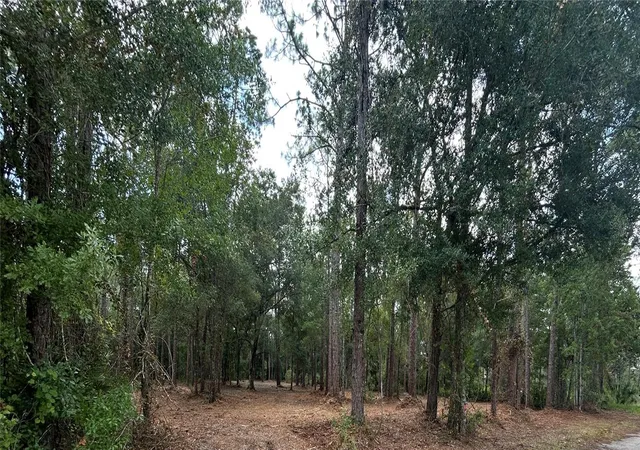 Photo 1 of Land for sale at Westpoint Dr, Wesley Chapel, FL 33544 | MLS# TB8532288 | Listing updated on 2026-07-24