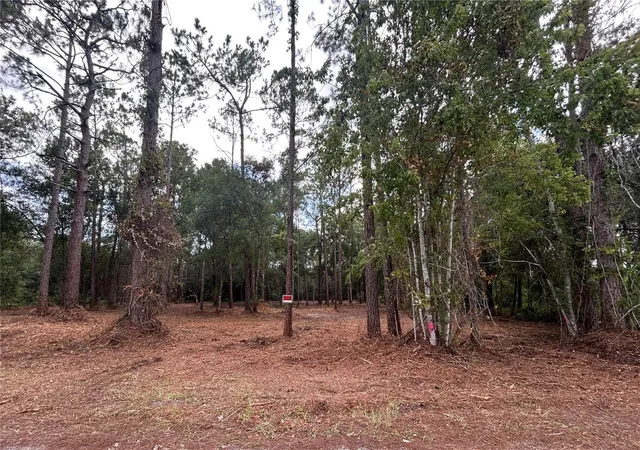 Photo 3 of Land for sale at Westpoint Dr, Wesley Chapel, FL 33544 | MLS# TB8532288 | Listing updated on 2026-07-24