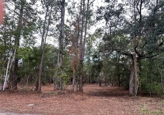 Photo 3 of Land for sale at Westpoint Dr, Wesley Chapel, FL 33544 | MLS# TB8532288 | Listing updated on 2026-07-24