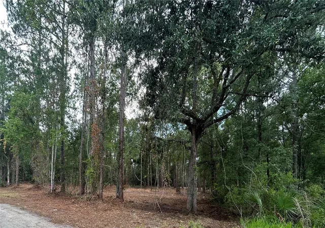 Photo 4 of Land for sale at Westpoint Dr, Wesley Chapel, FL 33544 | MLS# TB8532288 | Listing updated on 2026-07-24