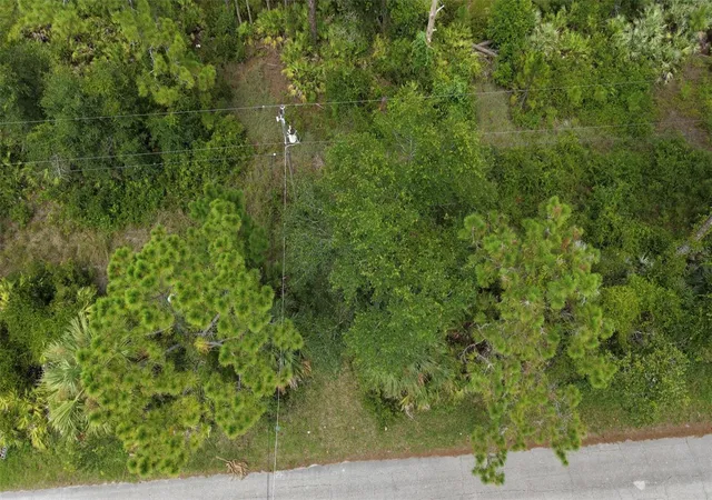 Photo 3 of Land for sale at 1715 Tatum Blvd, New Smyrna Beach, FL 32168 | MLS# V4950368 | Listing updated on 2026-08-12