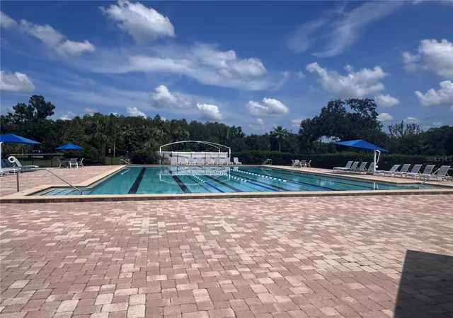 30th image of 6203 Farthing St, Tampa, FL 33647 | MLS# O6427830