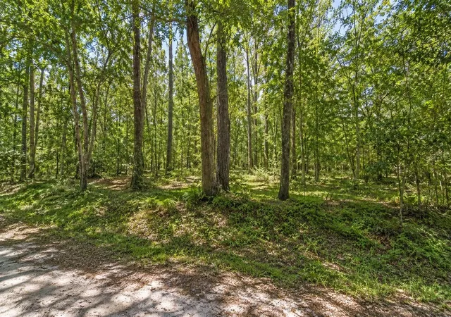 Photo 2 of Land for sale at 1401 SE 41st Avenue, Gainesville, FL 32641 | MLS# TB8532378 | Listing updated on 2026-07-29