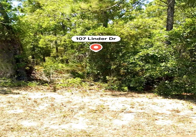 2nd image of 107 Linder Dr, Homosassa, FL 34446 | MLS# W7887948