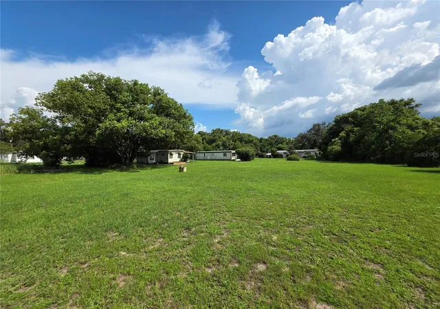 61st image of 33600 Isabelle Dr, Wesley Chapel, FL 33543 | MLS# TB8532521