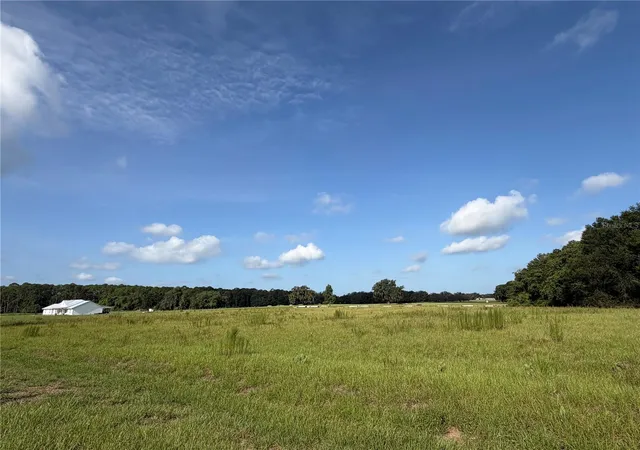 Land for sale at Cross Country Blvd, ALTOONA, FL 32702 | MLS# G5115504