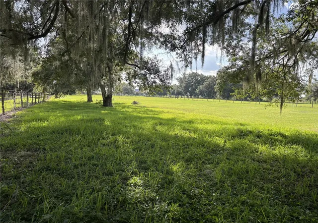 5th image of Old Lakeland Hwy, Dade City, FL 33525 | MLS# TB8532594