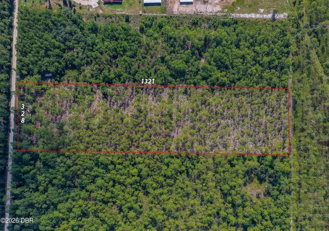 22nd image of 00 Ninemile Point Rd, Pierson, FL 32180 | MLS# V4950378