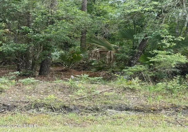 3rd image of 00 Ninemile Point Rd, Pierson, FL 32180 | MLS# V4950378