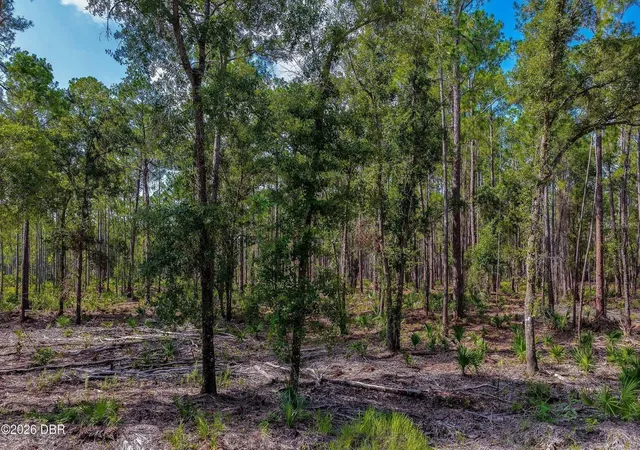 4th image of 00 Ninemile Point Rd, Pierson, FL 32180 | MLS# V4950378