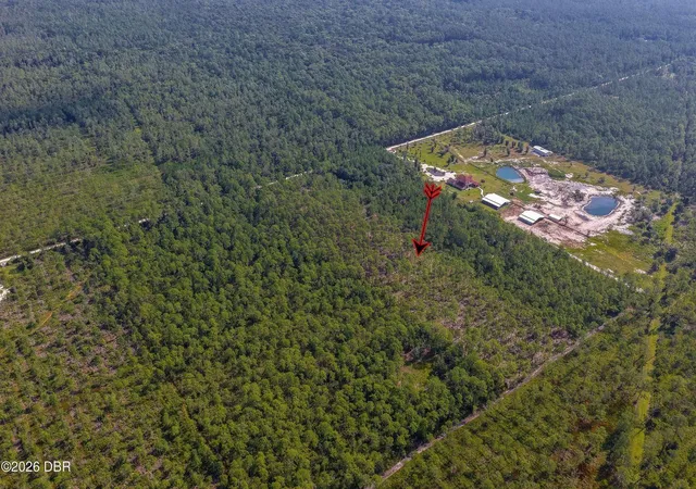 5th image of 00 Ninemile Point Rd, Pierson, FL 32180 | MLS# V4950378