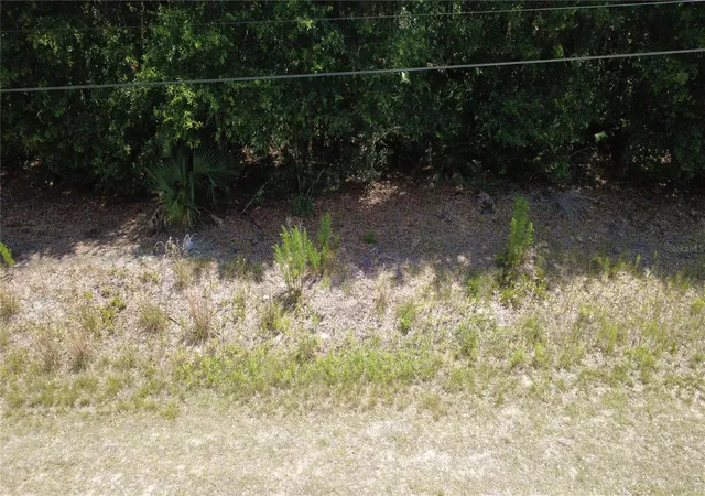 3rd image of 12792 W Baltic Ivy St, Crystal River, FL 34428 | MLS# OM729159
