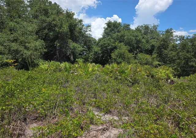 Photo 1 of Land for sale at 1297 Sulstone Dr, Punta Gorda, FL 33983 | MLS# C7528801 | Listing updated on 2026-08-12