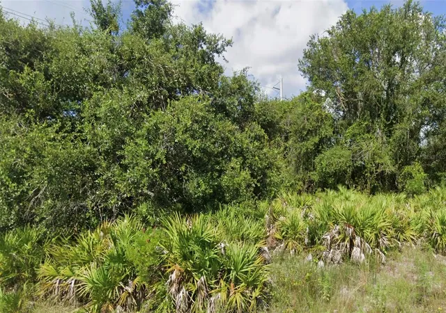 Photo 2 of Land for sale at 1297 Sulstone Dr, Punta Gorda, FL 33983 | MLS# C7528801 | Listing updated on 2026-08-12