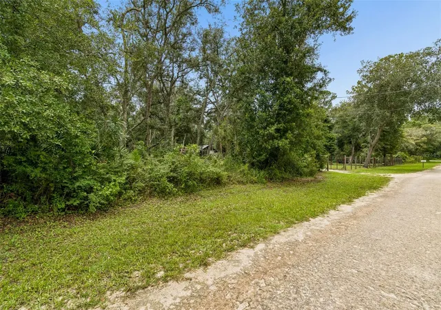 Photo 4 of Land for sale at 35314 Goethals St, Webster, FL 33597 | MLS# TB8532656 | Listing updated on 2026-08-05