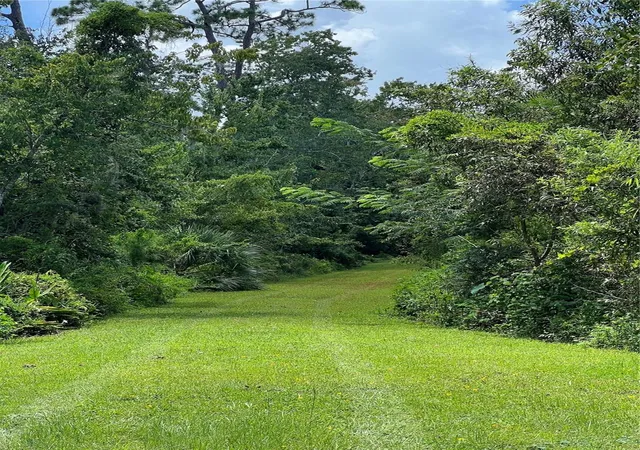 Photo 3 of Land for sale at 1292 Hickory Dr, Longwood, FL 32779 | MLS# O6428088 | Listing updated on 2026-08-25