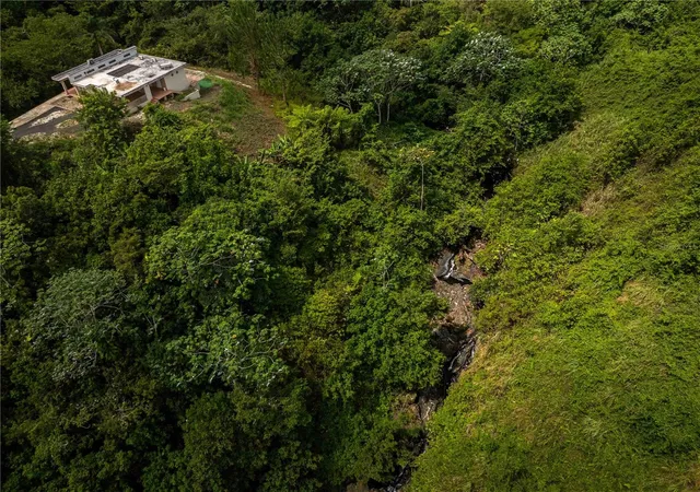 Photo 4 of Single family home for sale at Carr 814 Kmhm 40, Naranjito, PR 00719 | MLS# PR9122981 | Listing updated on 2026-10-07