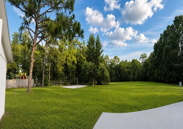 Photo 38 of Single family home for sale at 17238 Bridlepath Ct, Lutz, FL 33558 | MLS# TB8532721 | Listing updated on 2026-09-05