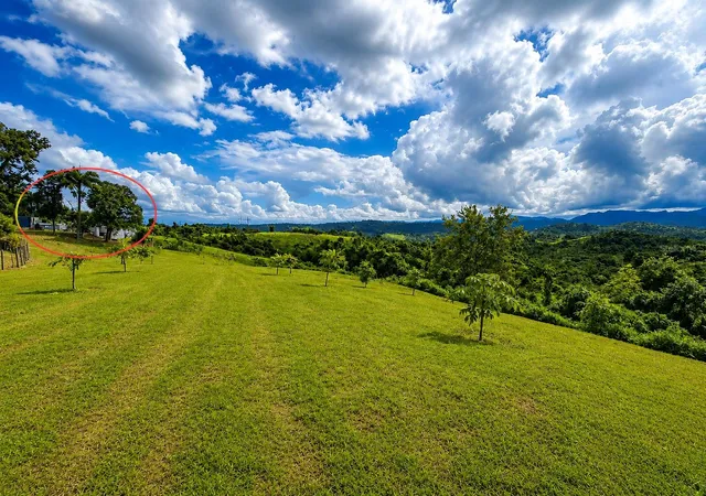 Photo 2 of Land for sale at Bo Fronton Carr 146 Km 186, Ciales, PR 00638 | MLS# PR9122985 | Listing updated on 2026-07-25