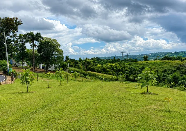 Photo 3 of Land for sale at Bo Fronton Carr 146 Km 186, Ciales, PR 00638 | MLS# PR9122985 | Listing updated on 2026-07-25