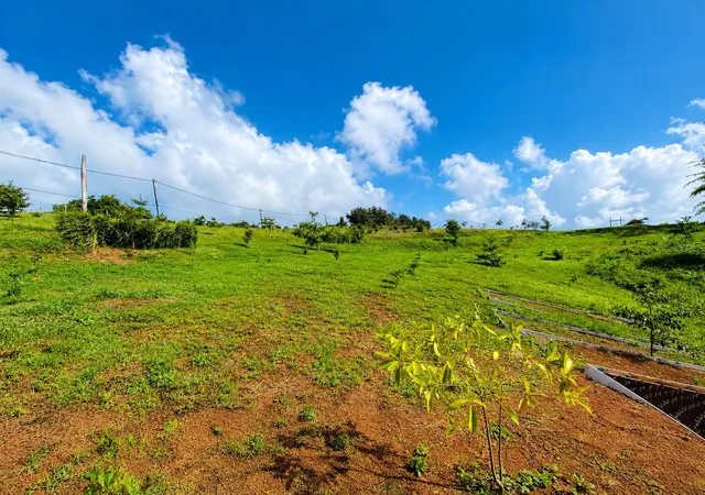 Photo 4 of Land for sale at Bo Fronton Carr 146 Km 186, Ciales, PR 00638 | MLS# PR9122985 | Listing updated on 2026-07-25