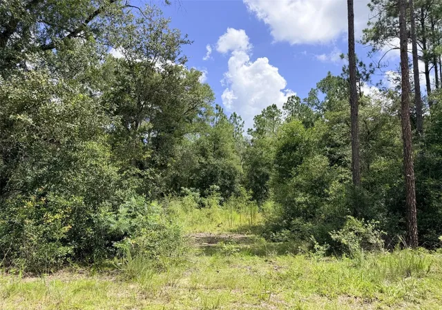 Land for sale at 0 NE 77 Place, BRONSON, FL 32621 | MLS# GC542231