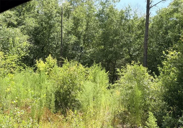 Photo 2 of Land for sale at 0 Ne 77 Place, Bronson, FL 32621 | MLS# GC542231 | Listing updated on 2026-07-26