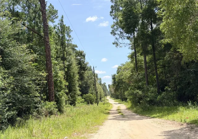 Photo 3 of Land for sale at 0 NE 77 Place, Bronson, FL 32621 | MLS# GC542231 | Listing updated on 2026-07-26