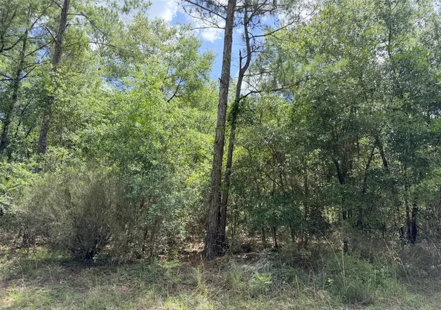 Photo 4 of Land for sale at 0 NE 77 Place, Bronson, FL 32621 | MLS# GC542231 | Listing updated on 2026-07-26