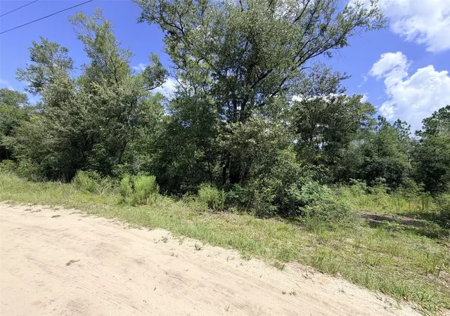 Photo 5 of Land for sale at 0 NE 77 Place, Bronson, FL 32621 | MLS# GC542231 | Listing updated on 2026-07-26