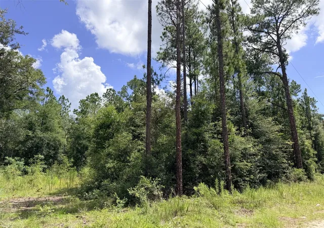 Photo 7 of Land for sale at 0 Ne 77 Place, Bronson, FL 32621 | MLS# GC542231 | Listing updated on 2026-07-26