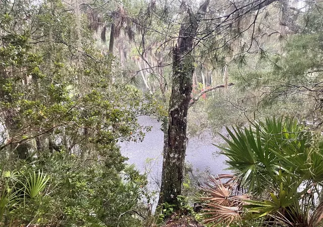 1st image of 1783 Taylor Rd, Port Orange, FL 32128 | MLS# NS1088829