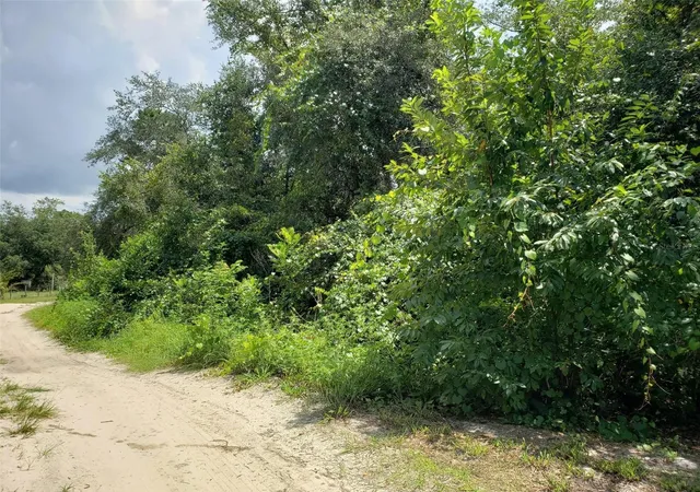 Photo 1 of Sale Pending at Pine Valley Dr, Paisley, FL 32767 | MLS# O6428164 | Listing updated on 2026-09-26