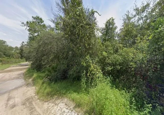 Photo 4 of Sale Pending at Pine Valley Dr, Paisley, FL 32767 | MLS# O6428164 | Listing updated on 2026-09-26