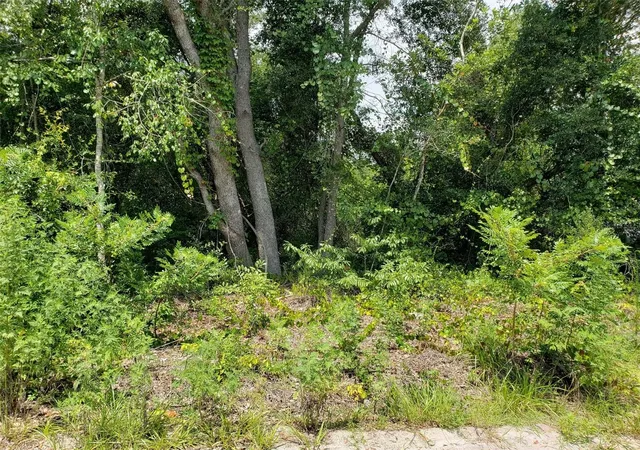 1st image of Pine Valley Dr, Paisley, FL 32767 | MLS# O6428167
