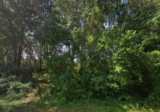 Photo 2 of Land for sale at 0 Sw 79th Terrace Rd, Ocala, FL 34473 | MLS# TB8532838 | Listing updated on 2026-08-29