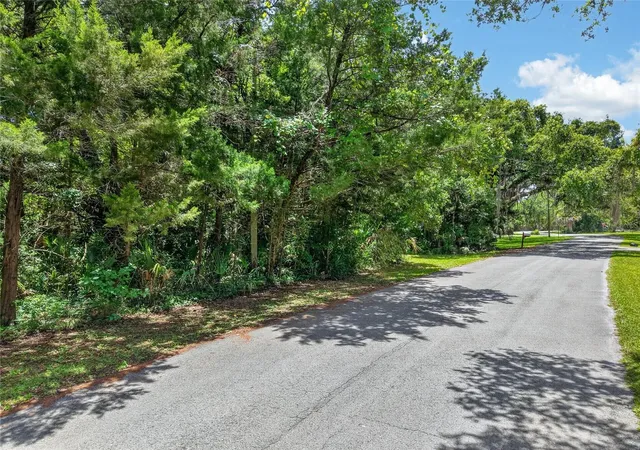 Photo 3 of Land for sale at 0 Sw Palm Point, Inglis, FL 34449 | MLS# W7887985 | Listing updated on 2026-10-08