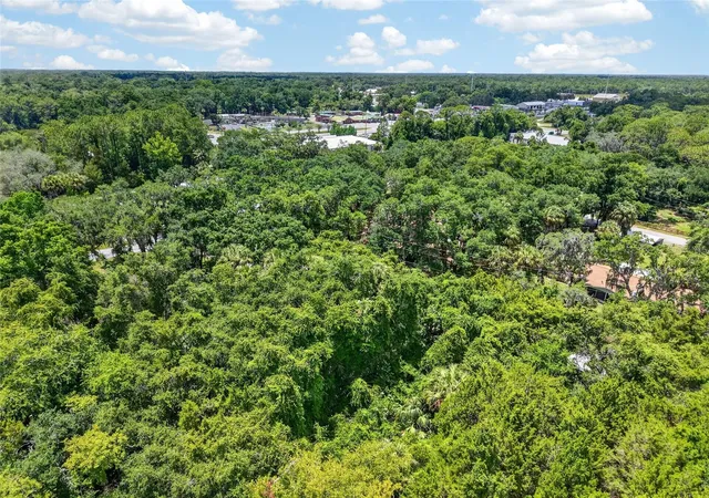 8th image of 0 Sw Palm Point, Inglis, FL 34449 | MLS# W7887985