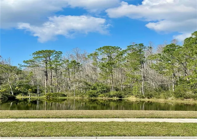 23rd image of 13261 Royal George Ave, Odessa, FL 33556 | MLS# TB8532854