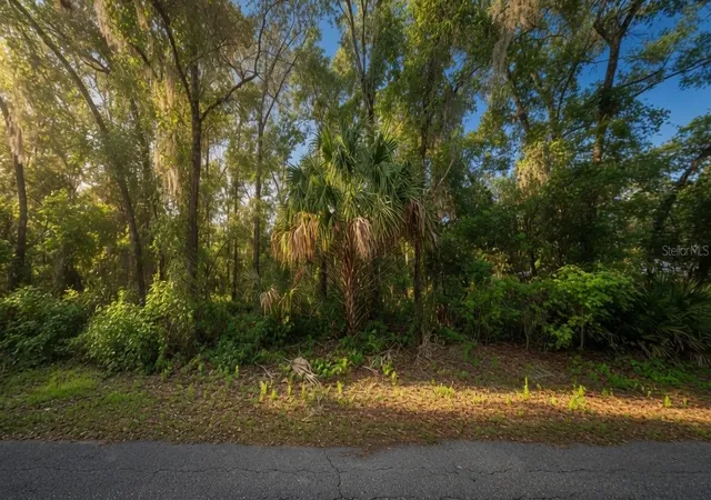 Photo 2 of Land for sale at 282 N Savary Ave, Inverness, FL 34453 | MLS# O6428207 | Listing updated on 2026-07-26