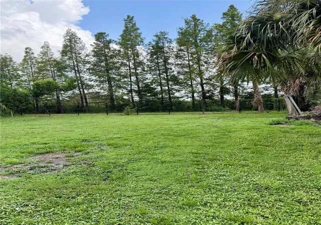 Photo 3 of Single family home for sale at 4507 W Gray St, Tampa, FL 33609 | MLS# TB8532869 | Listing updated on 2026-08-07