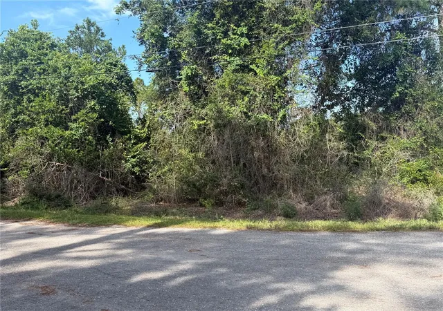 Photo 3 of Land for sale at Tbd Malauka Ter, Ocklawaha, FL 32179 | MLS# OM729221 | Listing updated on 2026-08-05