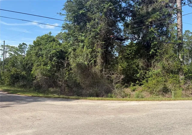 Photo 3 of Land for sale at Tbd Malauka Ter, Ocklawaha, FL 32179 | MLS# OM729221 | Listing updated on 2026-08-05