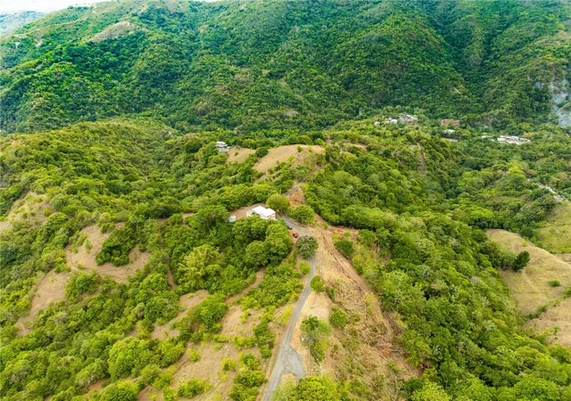 Photo 1 of Land for sale at Tabonuco Ward Sr 365 Km 64 Int, Sabana Grande, PR 00637 | MLS# PR9122994 | Listing updated on 2026-09-06